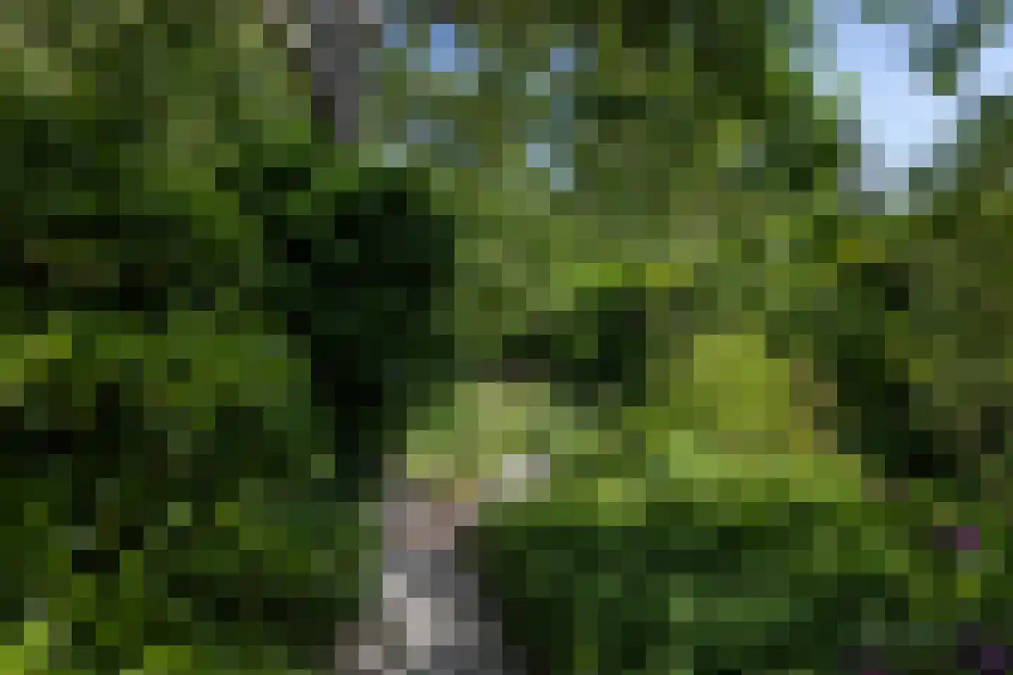 Stationsweg 1 Neede thumbnail 48