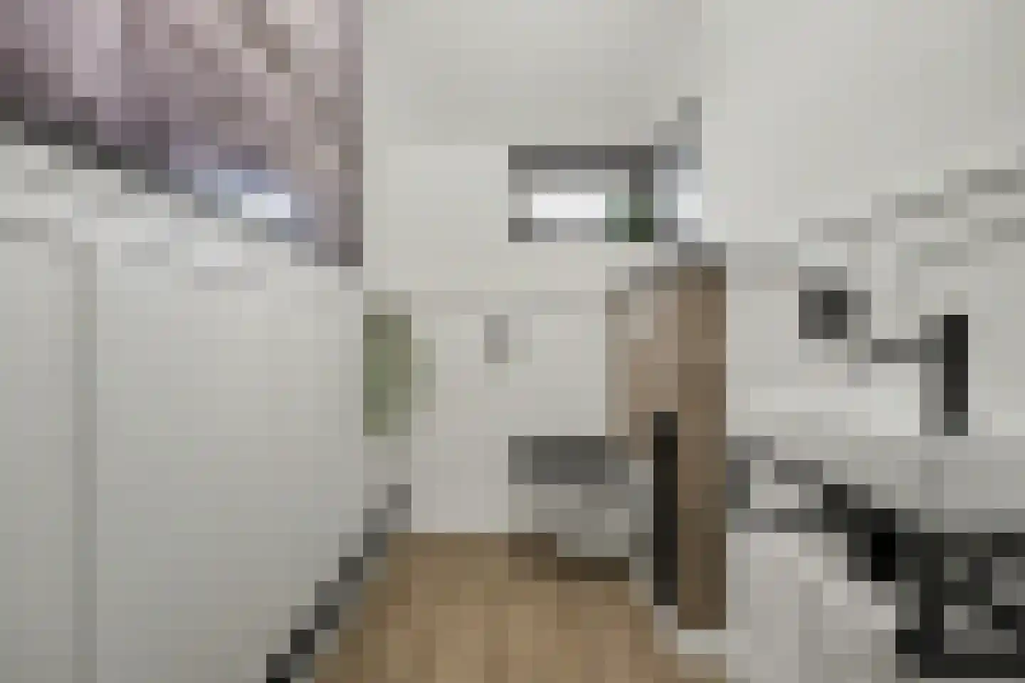 Stationsweg 1 Zuidland thumbnail 34