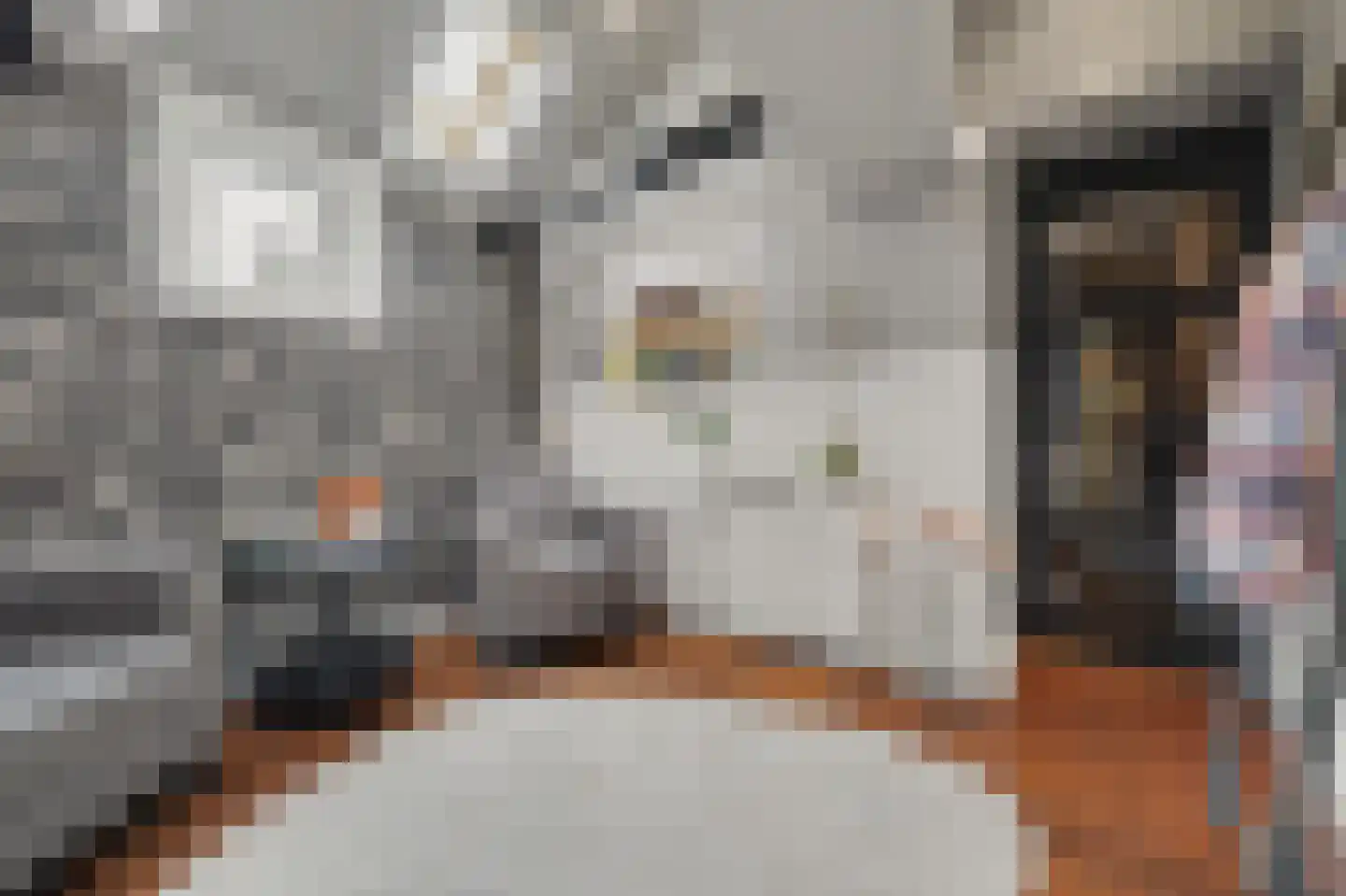Stationsweg 1 Zuidland thumbnail 4