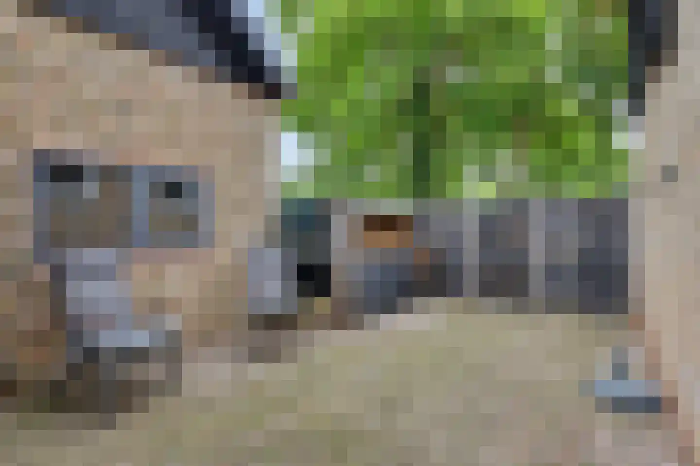 Stationsweg 1 Zuidland thumbnail 41