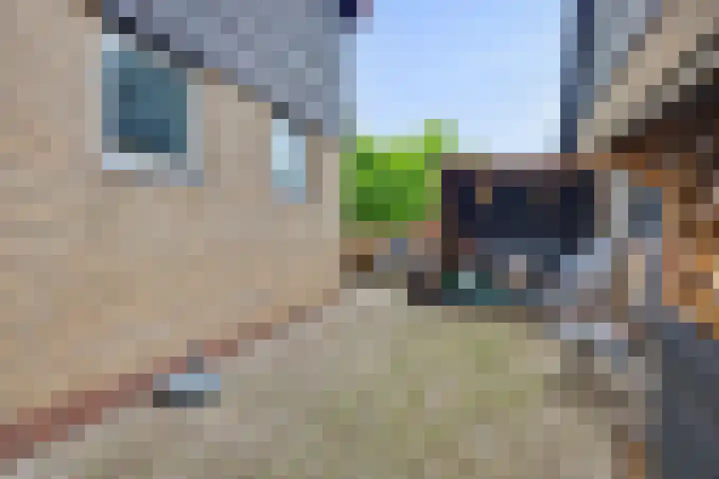 Stationsweg 1 Zuidland thumbnail 42