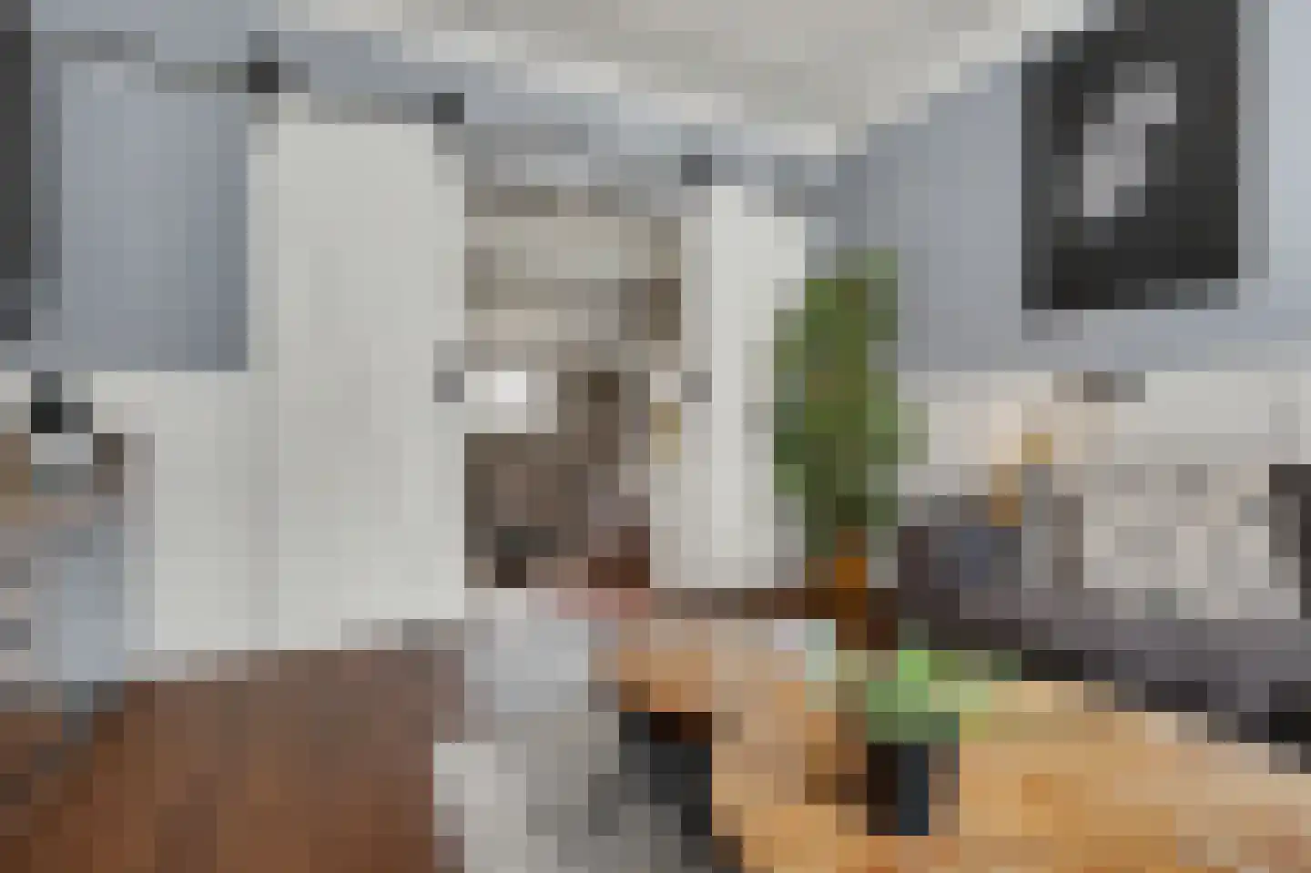 Stationsweg 1 Zuidland thumbnail 5