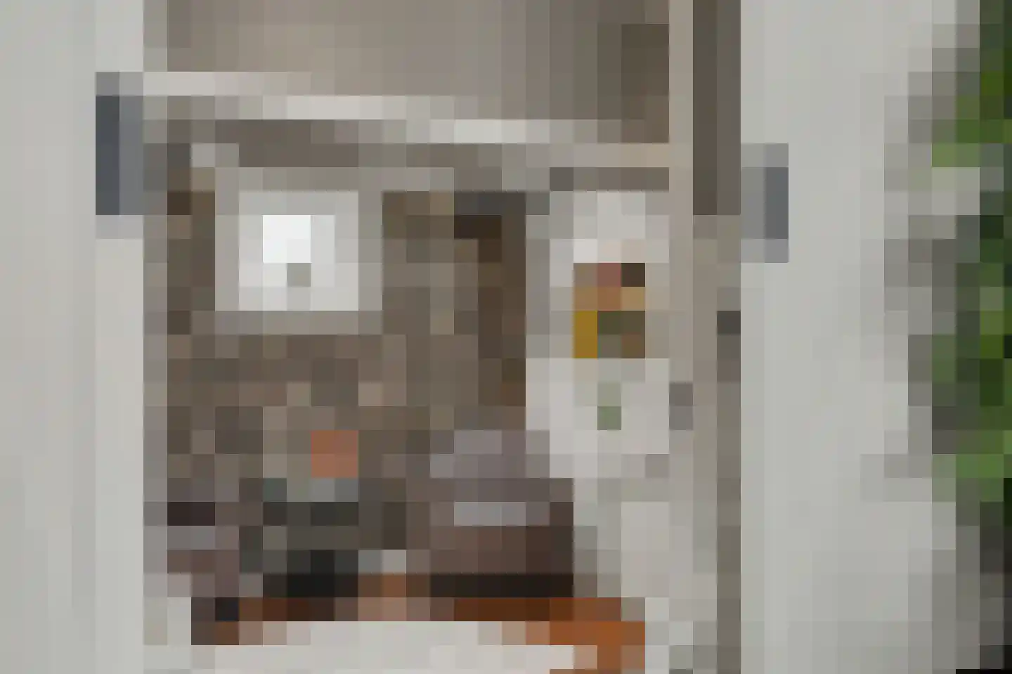 Stationsweg 1 Zuidland thumbnail 7