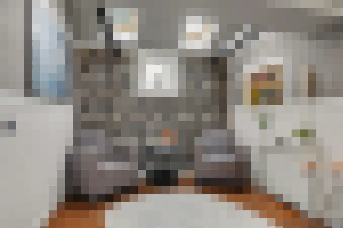 Stationsweg 1 Zuidland thumbnail 8