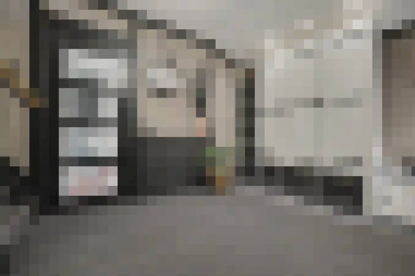 Stationsweg 1 Zuidland thumbnail 9