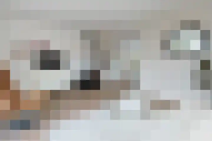 Stationsweg 10 A Zevenhoven thumbnail 16