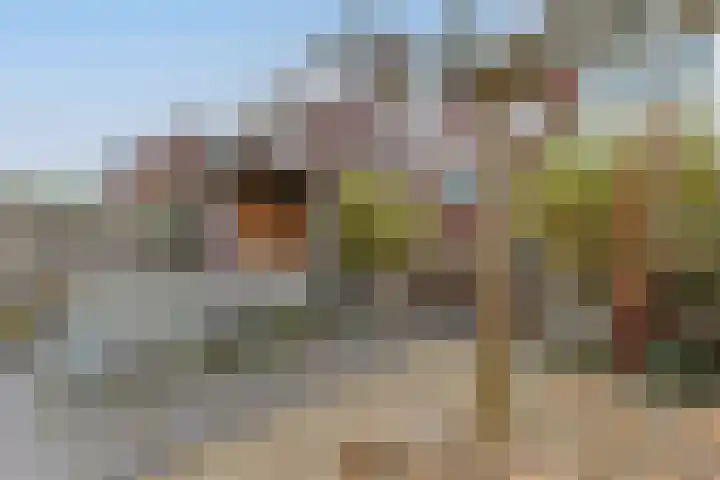 Stationsweg 10 A Zevenhoven thumbnail 23