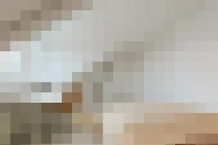 Stationsweg 10 A Zevenhoven thumbnail 43