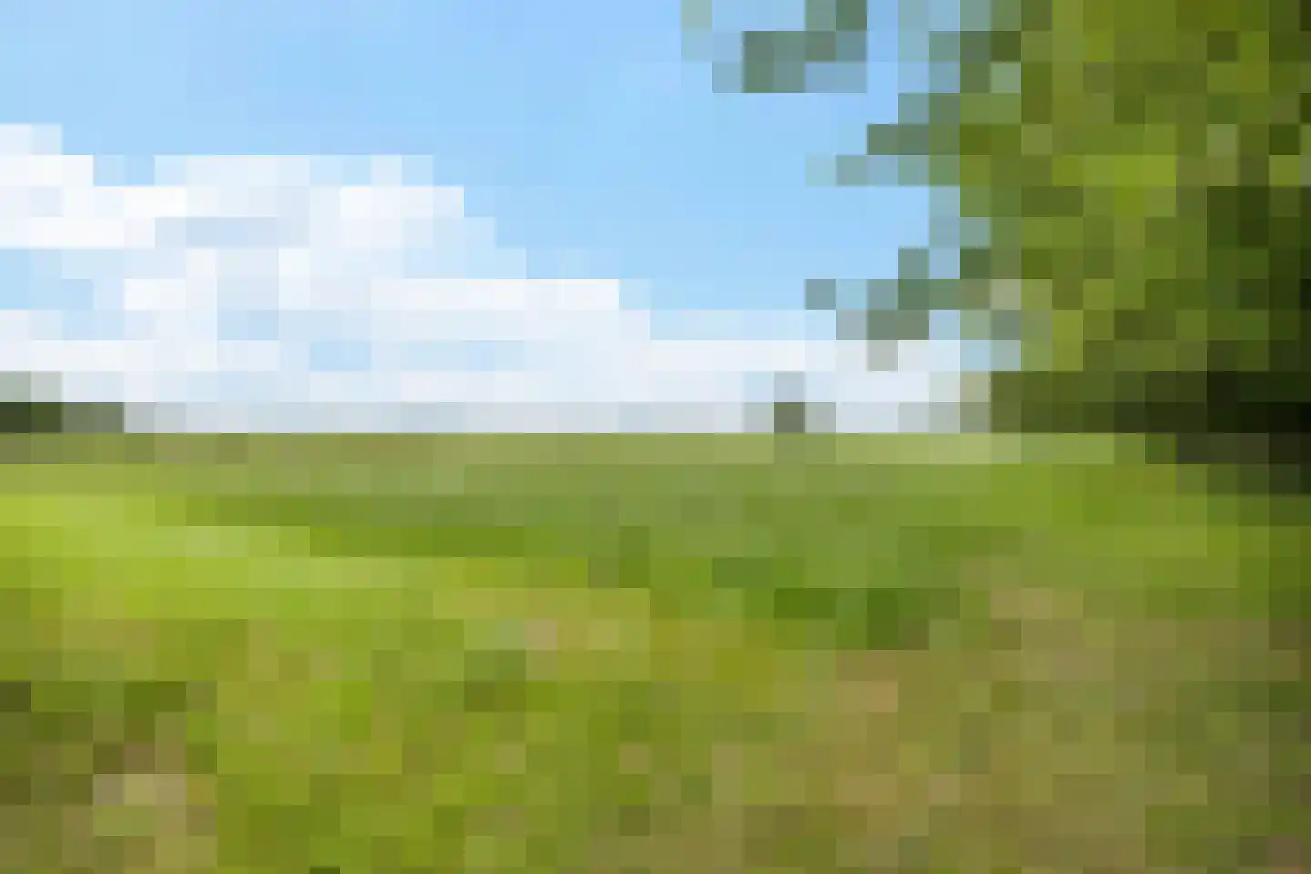 Stationsweg 10 b Visvliet thumbnail 20