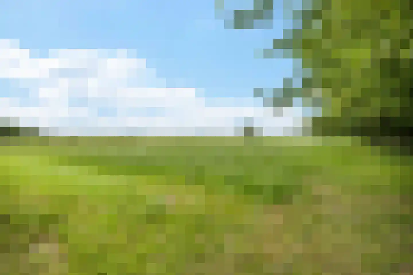 Stationsweg 10 b Visvliet thumbnail 20
