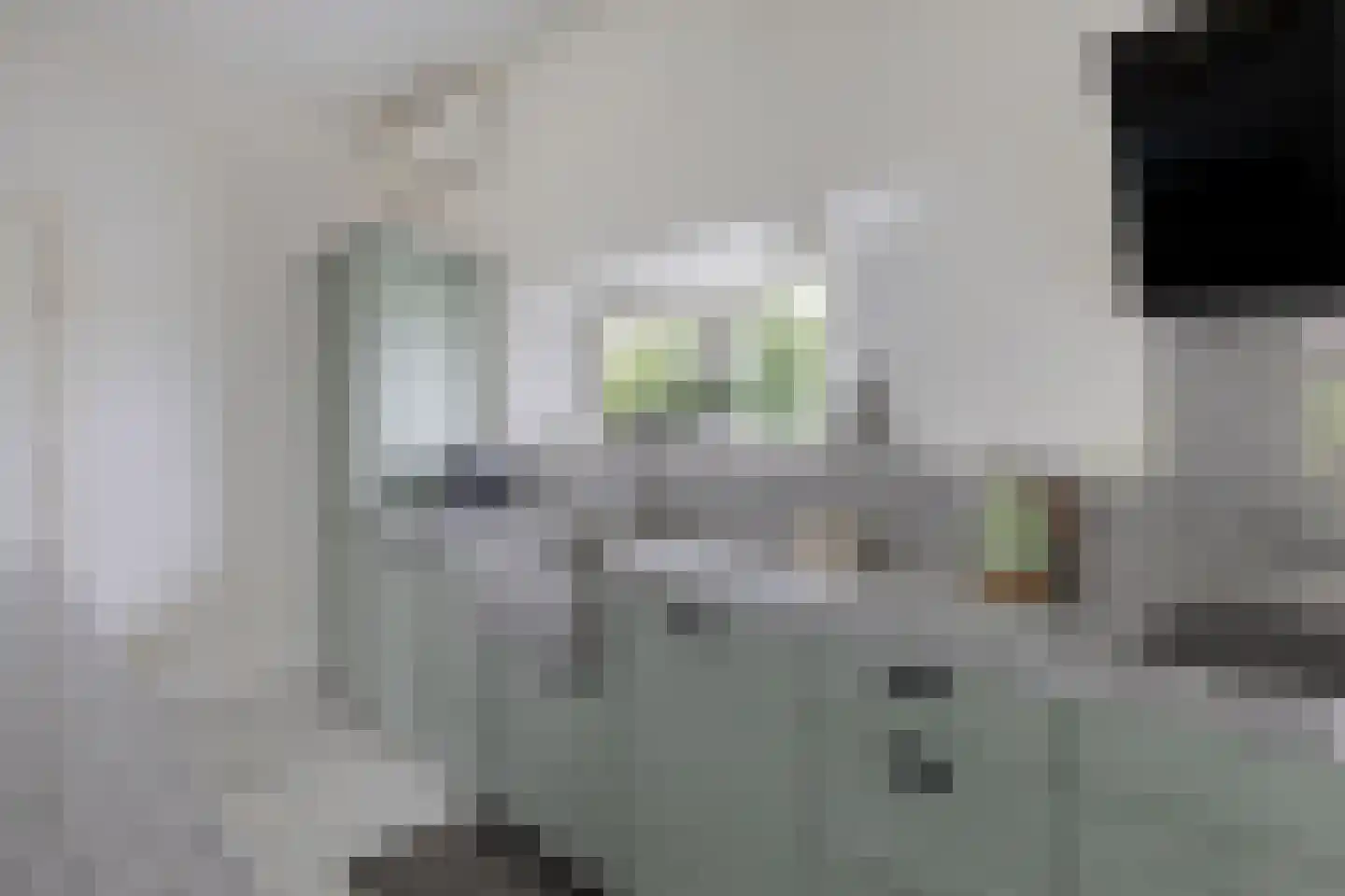 Stationsweg 10 b Visvliet thumbnail 26
