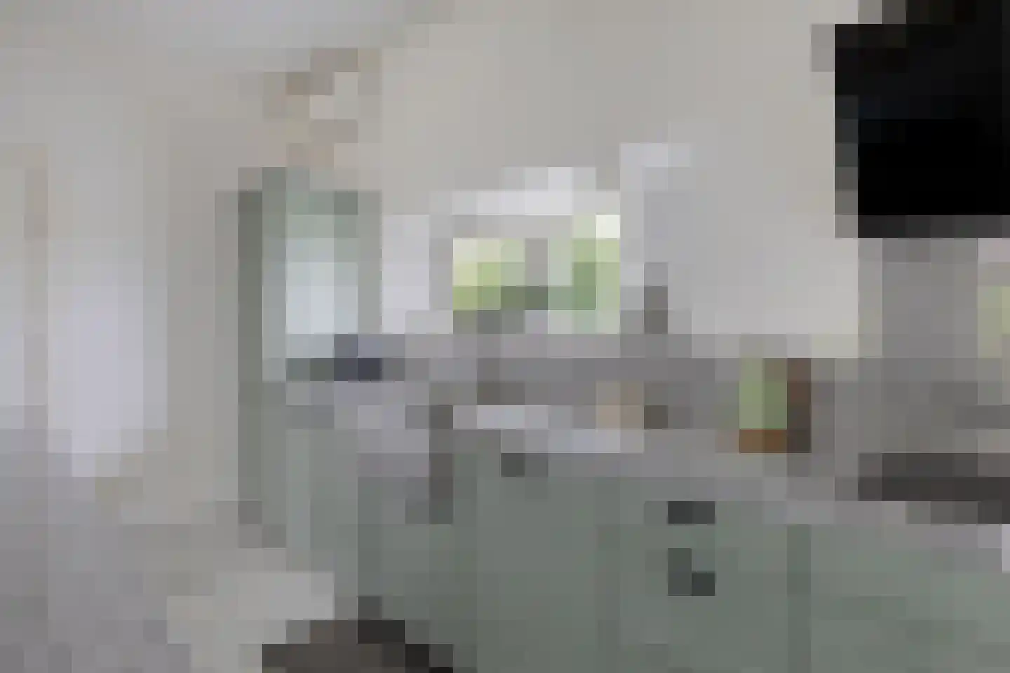 Stationsweg 10 b Visvliet thumbnail 26