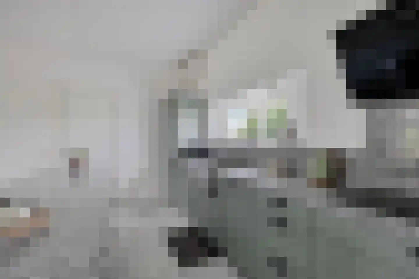 Stationsweg 10 b Visvliet thumbnail 28