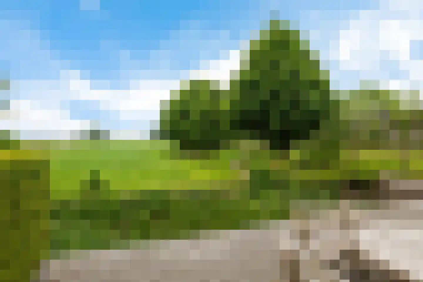 Stationsweg 10 b Visvliet thumbnail 33