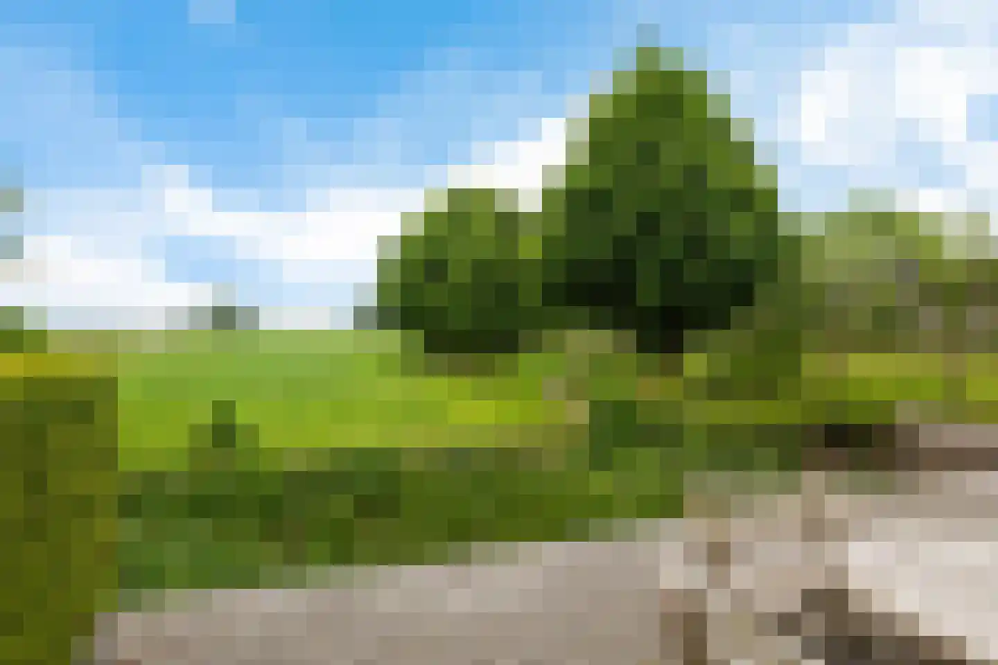 Stationsweg 10 b Visvliet thumbnail 33