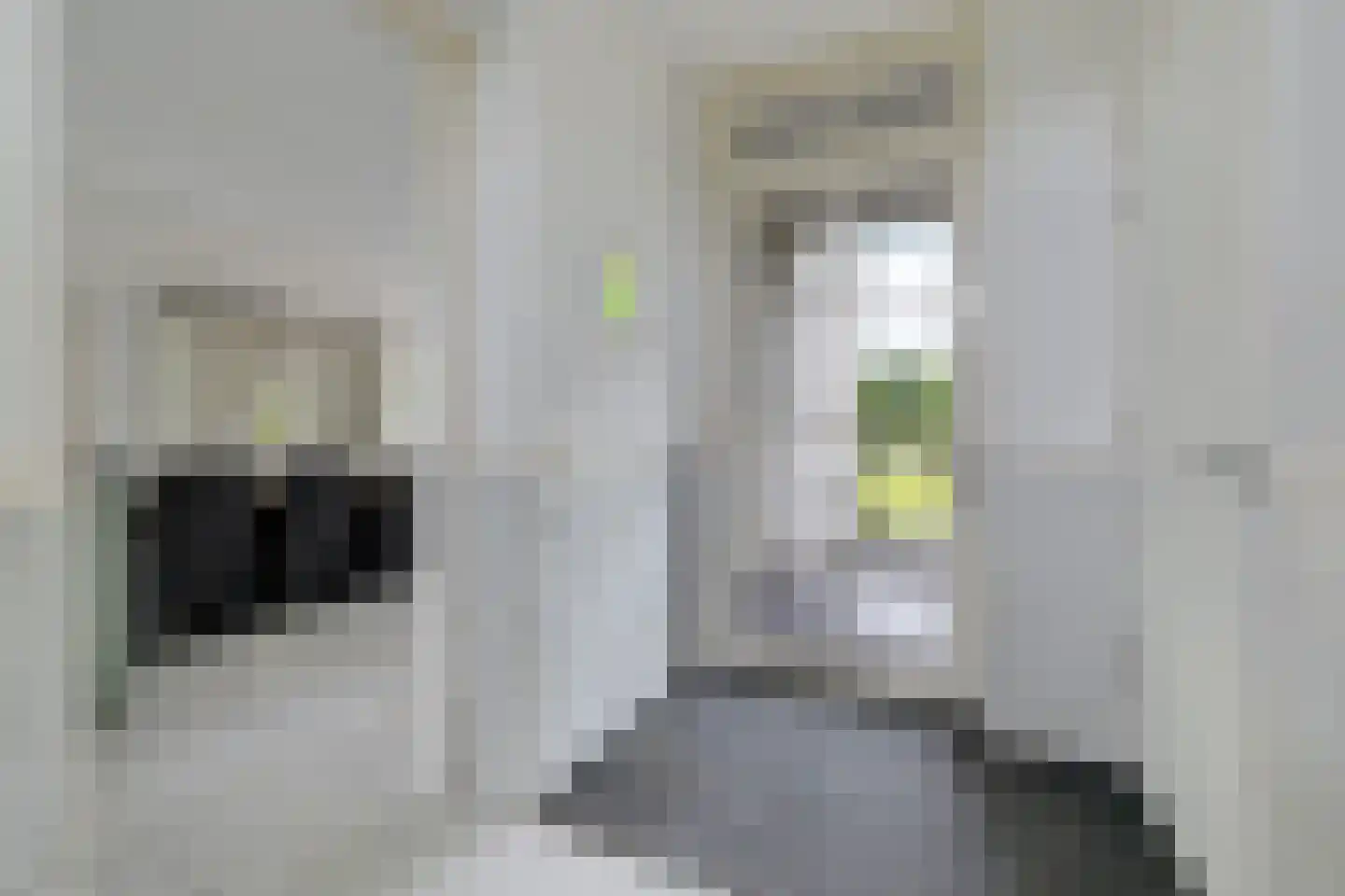 Stationsweg 10 b Visvliet thumbnail 36