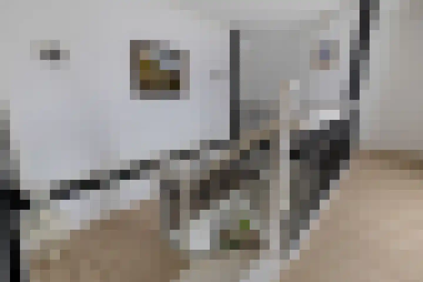 Stationsweg 10 b Visvliet thumbnail 43