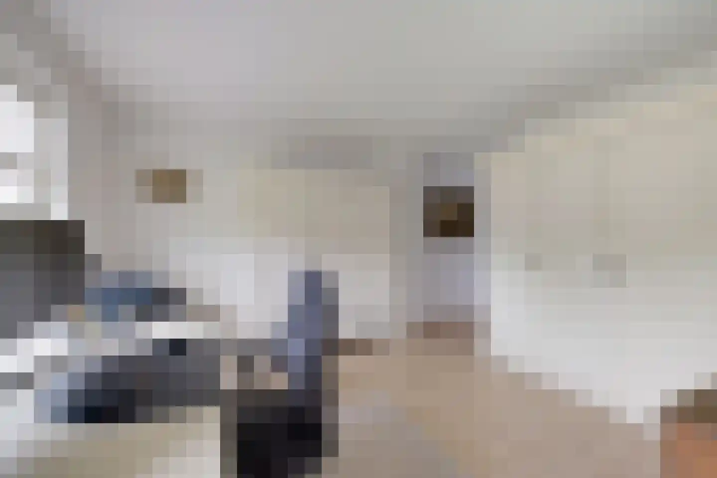 Stationsweg 10 b Visvliet thumbnail 44