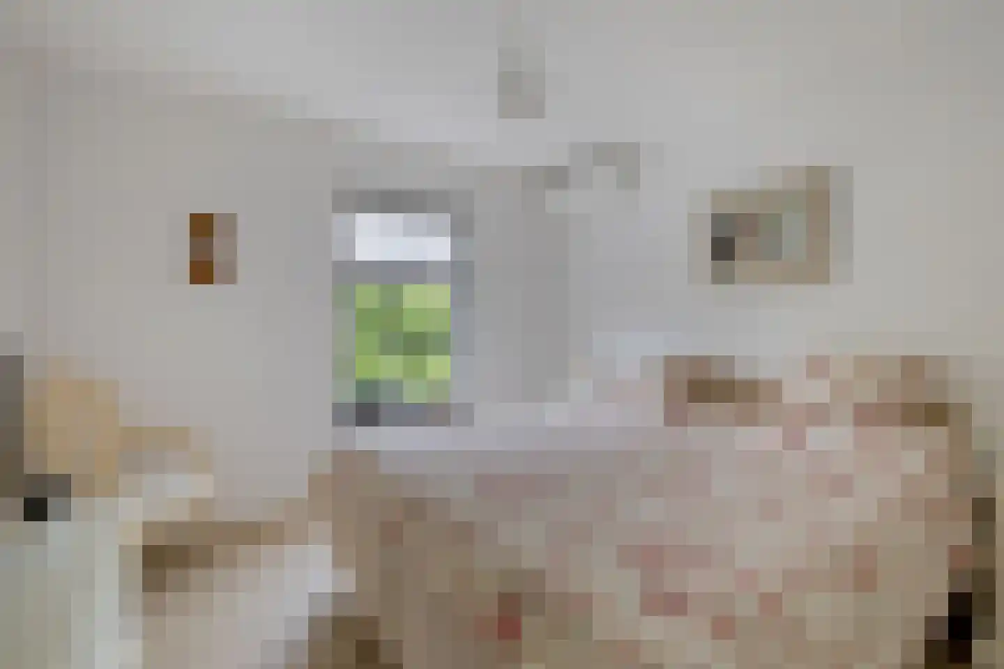 Stationsweg 10 b Visvliet thumbnail 53