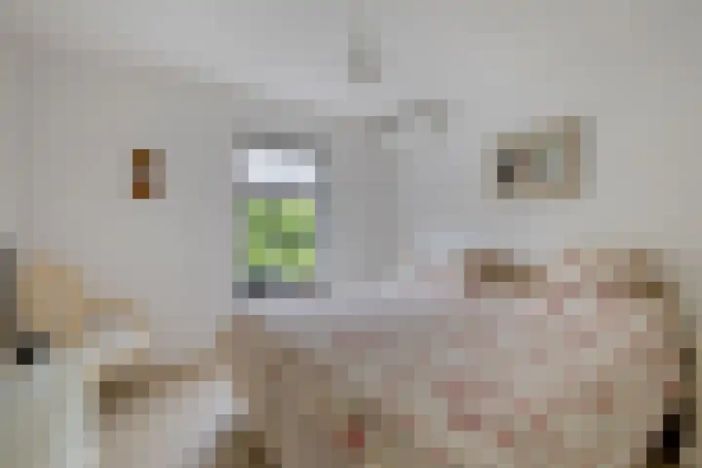 Stationsweg 10 b Visvliet thumbnail 53