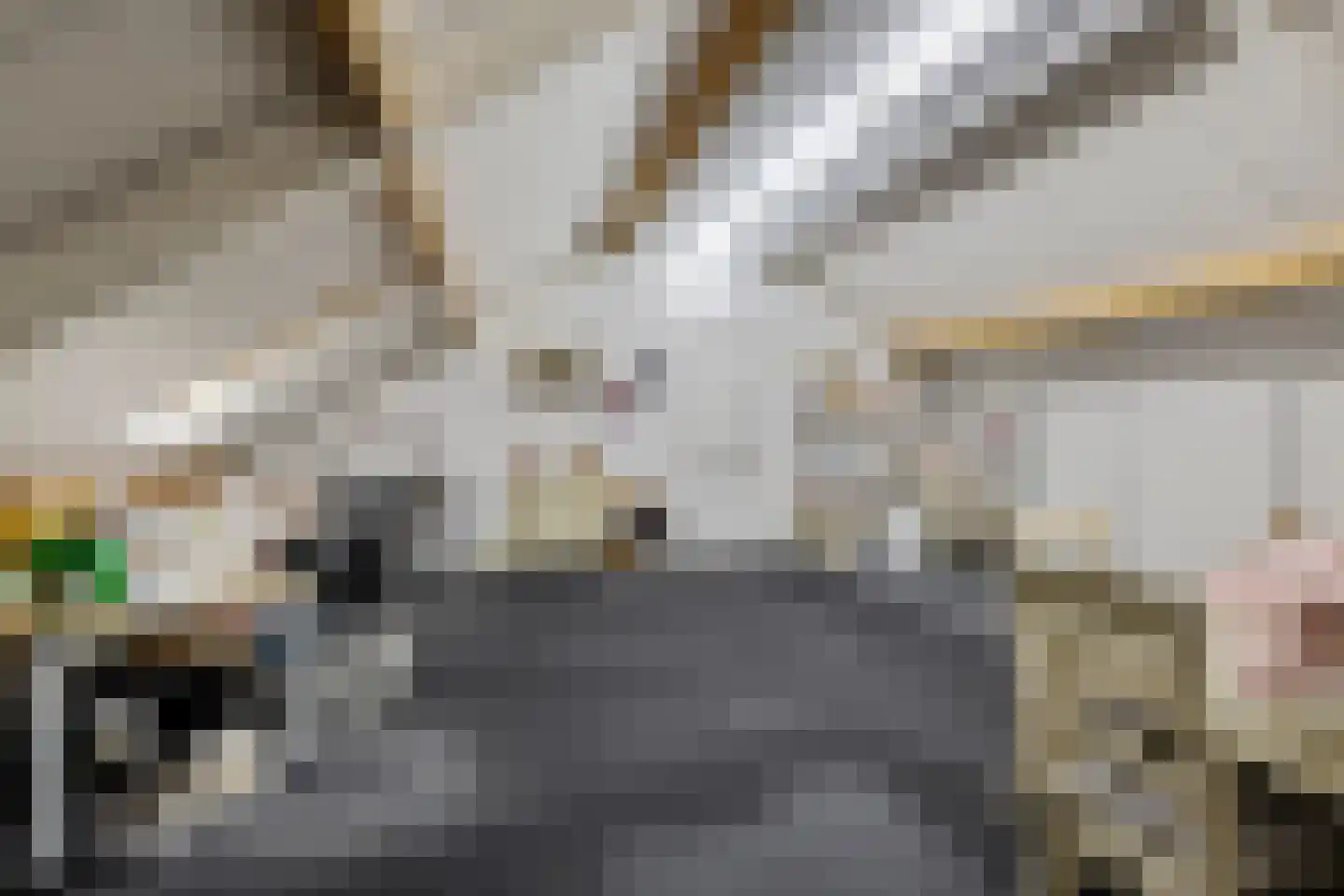 Stationsweg 10 b Visvliet thumbnail 55