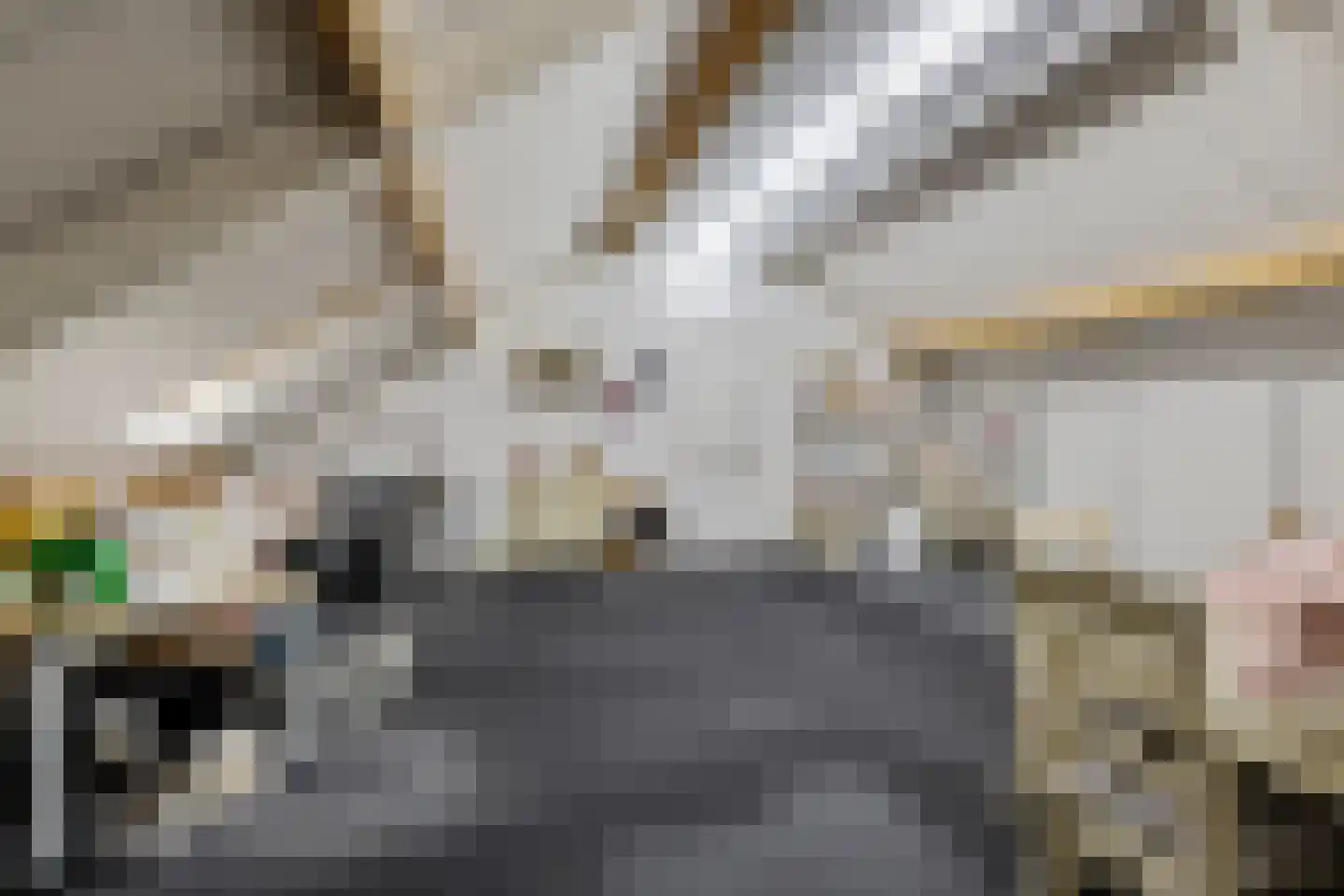 Stationsweg 10 b Visvliet thumbnail 55