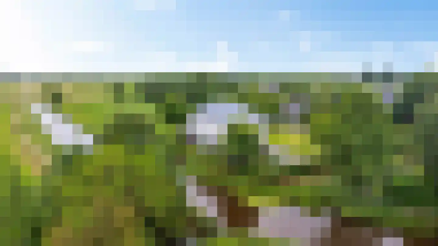 Stationsweg 10 b Visvliet thumbnail 57
