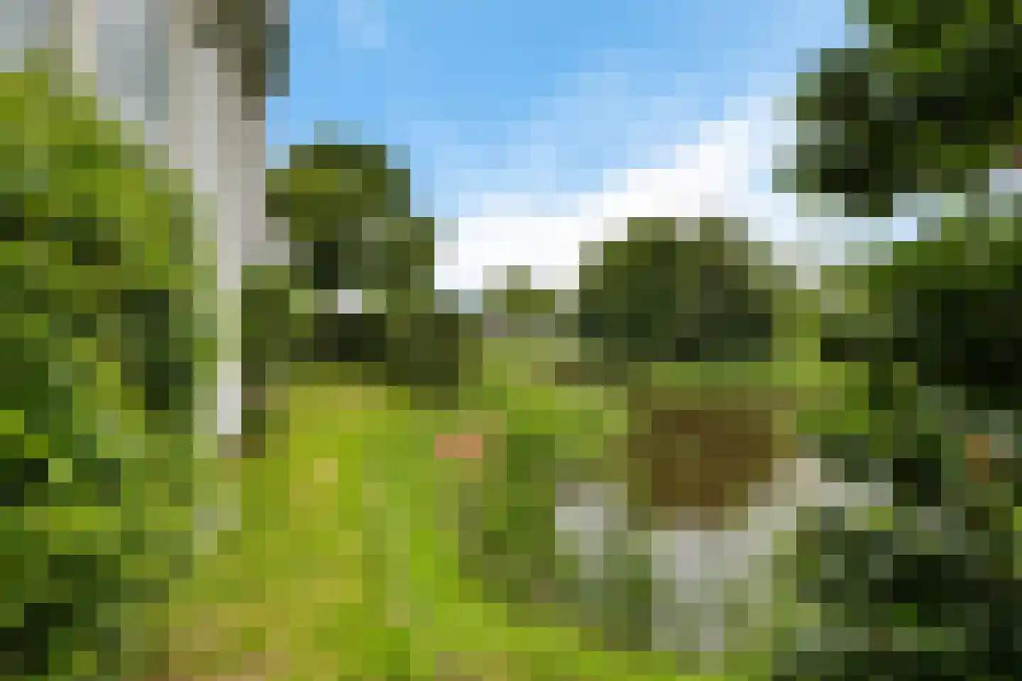 Stationsweg 10 b Visvliet thumbnail 60