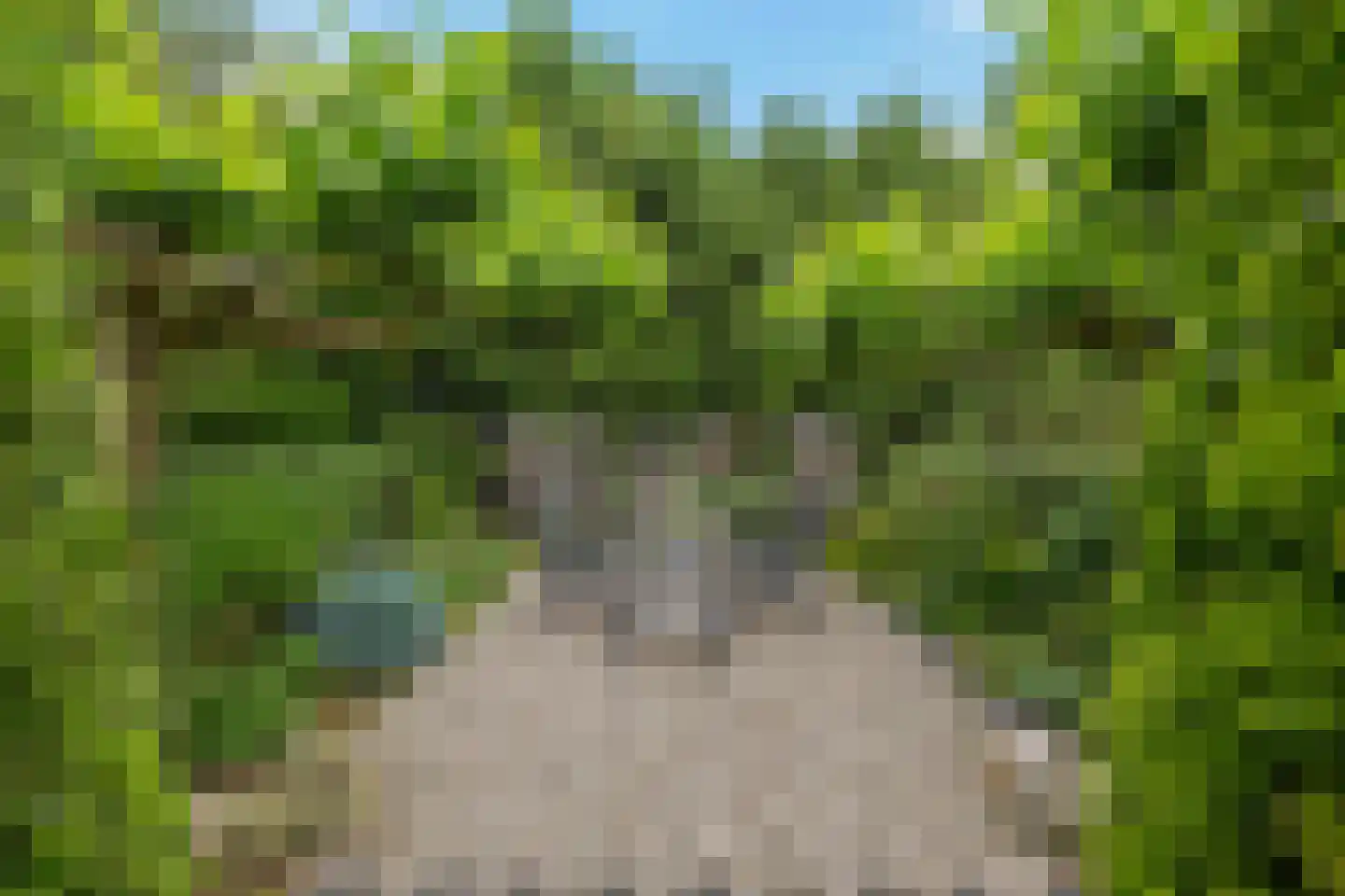 Stationsweg 10 b Visvliet thumbnail 64
