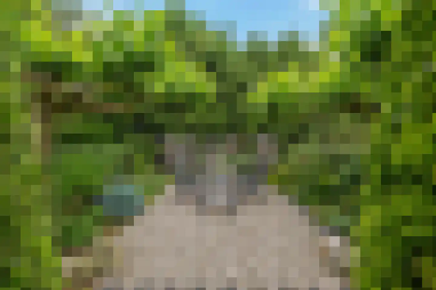 Stationsweg 10 b Visvliet thumbnail 64