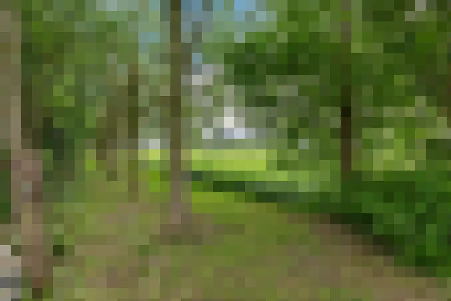 Stationsweg 10 b Visvliet thumbnail 67