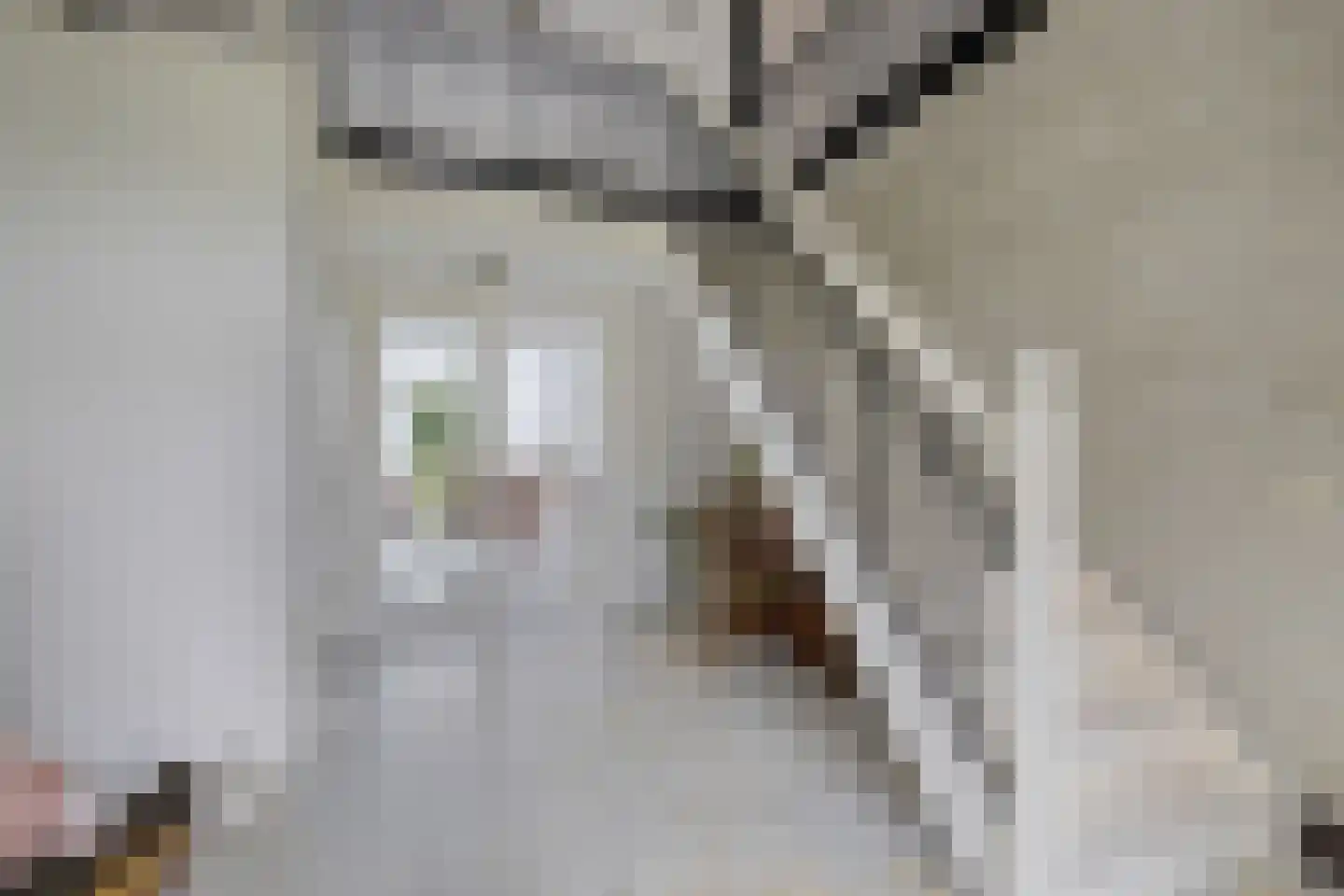 Stationsweg 10 b Visvliet thumbnail 8