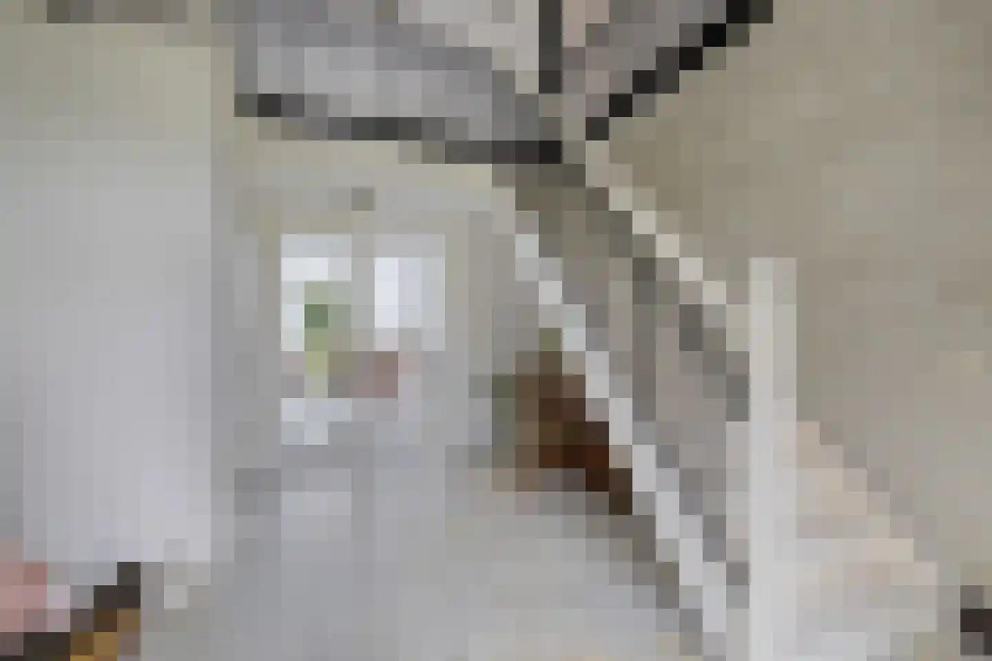 Stationsweg 10 b Visvliet thumbnail 8