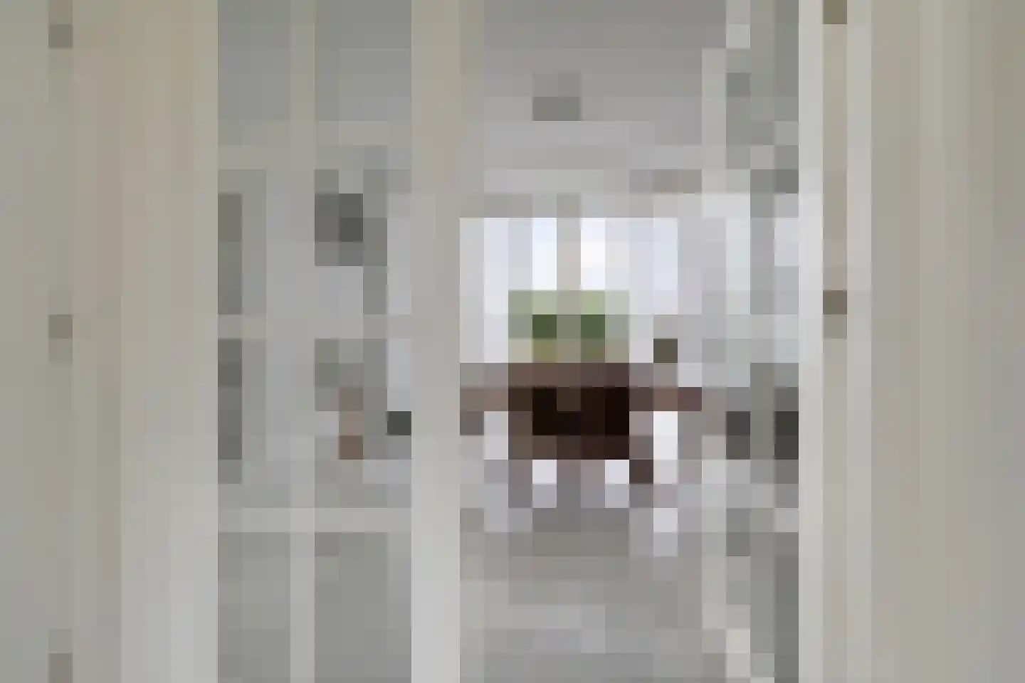 Stationsweg 10 b Visvliet thumbnail 9