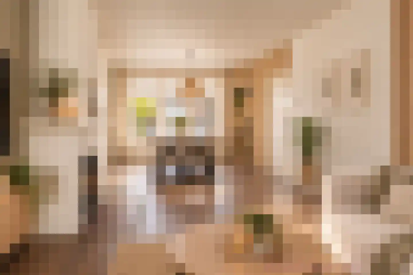 Stationsweg 10 Gorredijk thumbnail 9