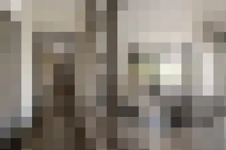 Stationsweg 10 Hedel thumbnail 15