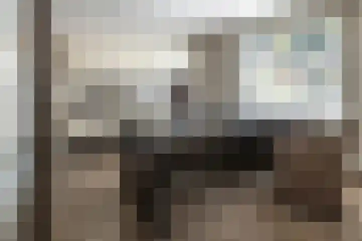 Stationsweg 10 Hedel thumbnail 25