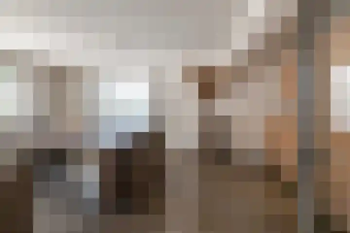 Stationsweg 10 Hedel thumbnail 26