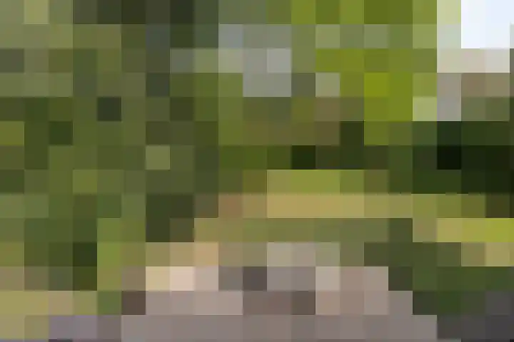 Stationsweg 10 Hedel thumbnail 35