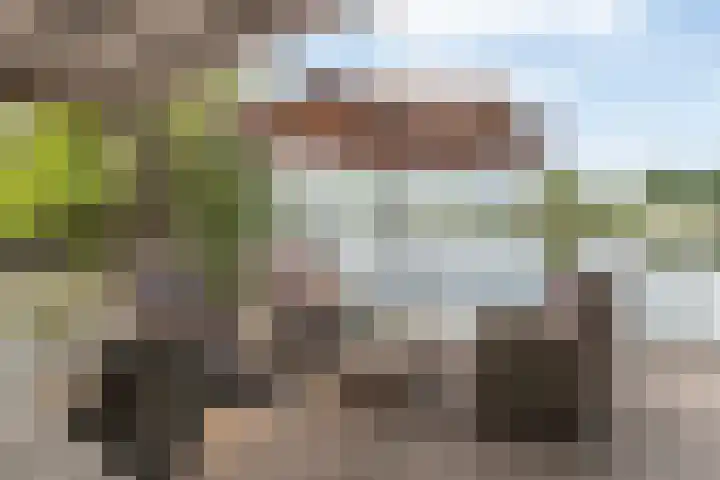 Stationsweg 10 Hedel thumbnail 8
