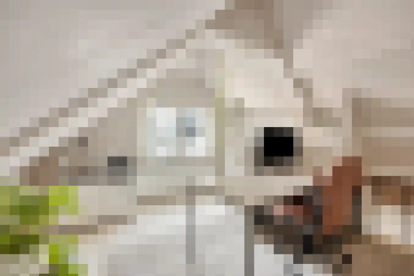 Stationsweg 10 Heenvliet thumbnail 19