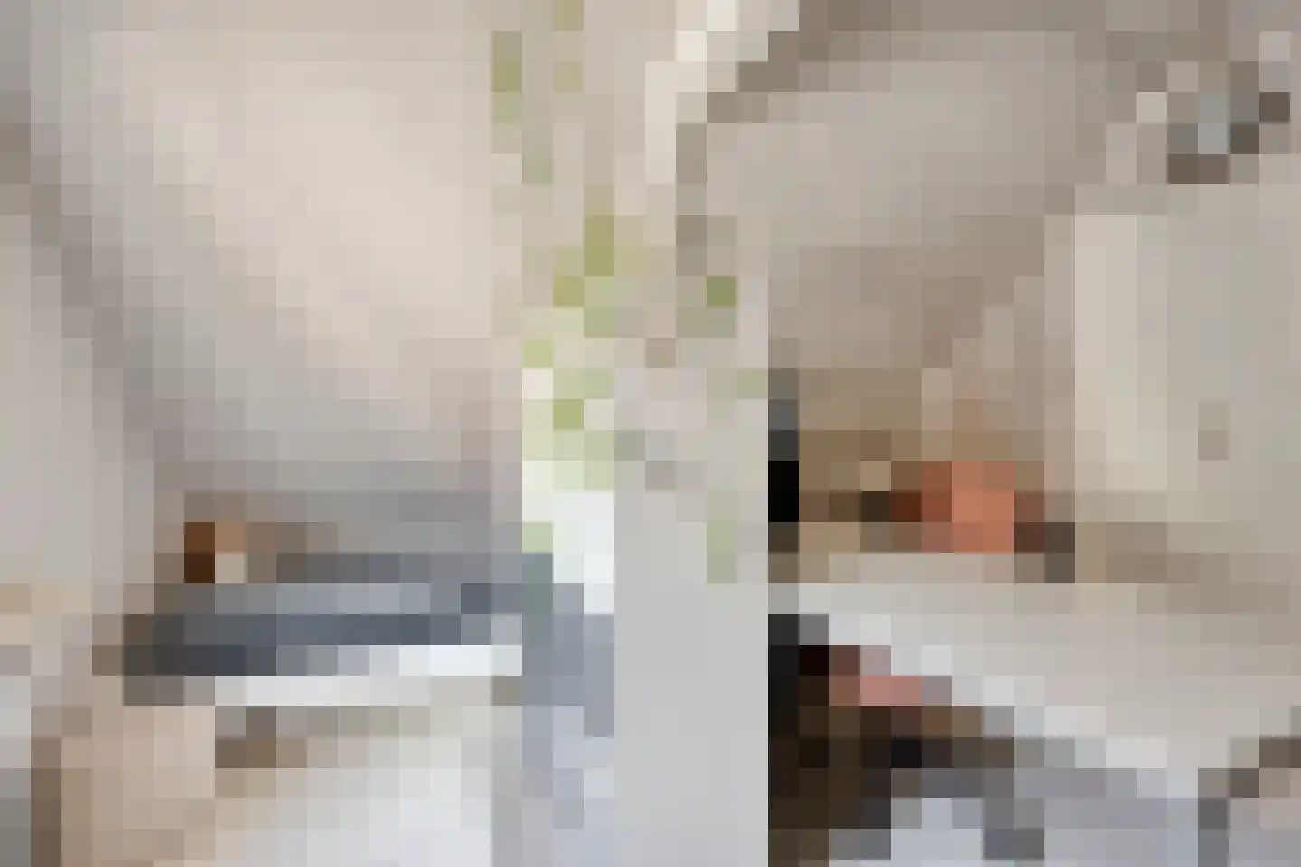 Stationsweg 10 Heenvliet thumbnail 20