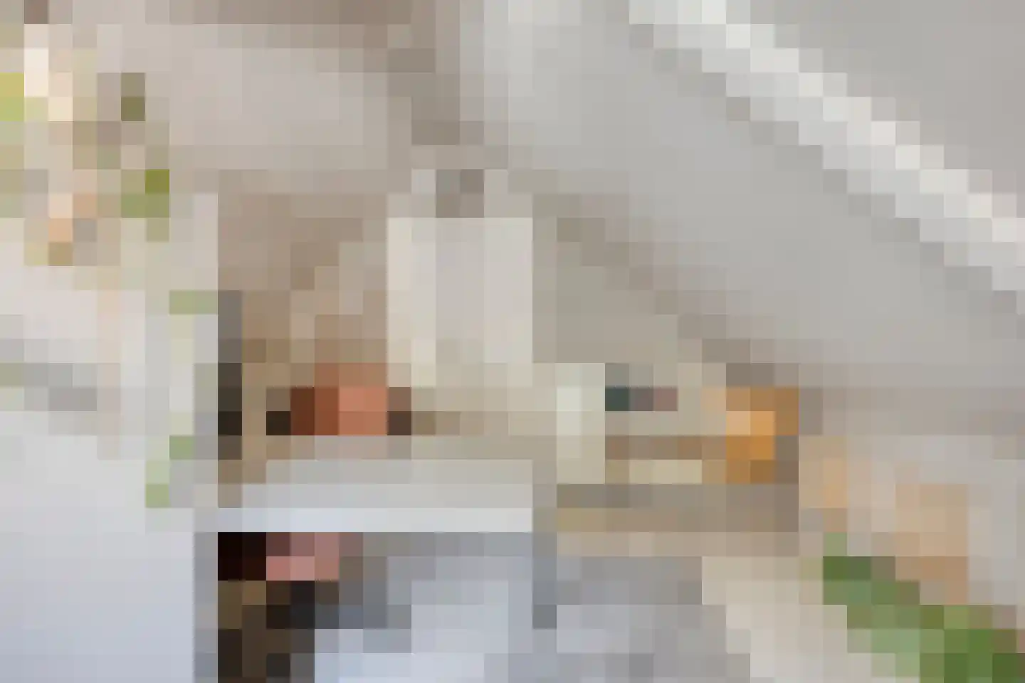 Stationsweg 10 Heenvliet thumbnail 21