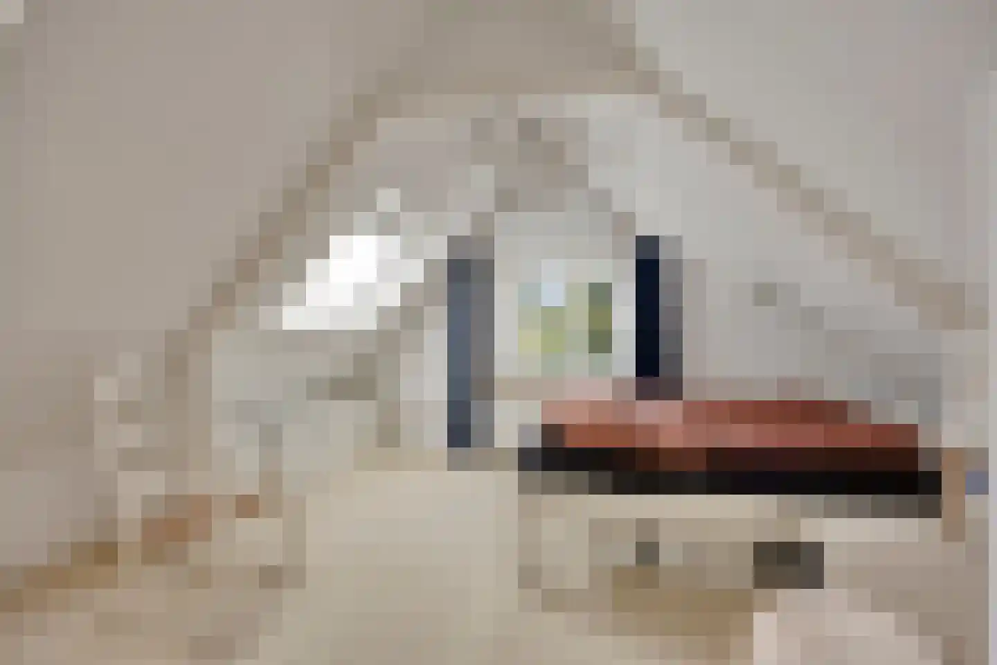 Stationsweg 10 Heenvliet thumbnail 23