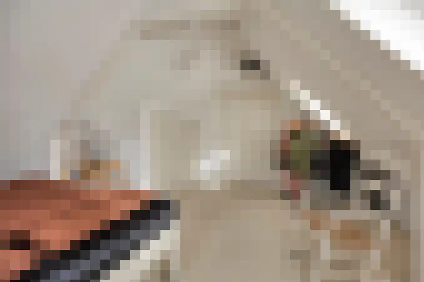 Stationsweg 10 Heenvliet thumbnail 25
