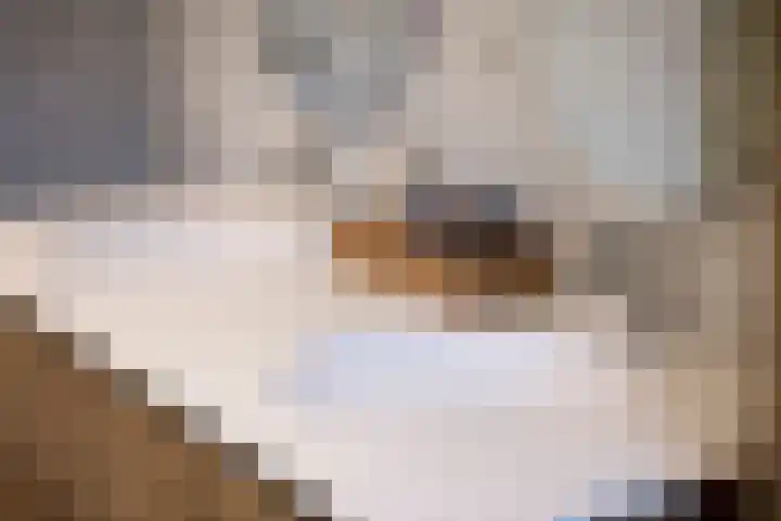 Stationsweg 10 Oosterbeek thumbnail 32