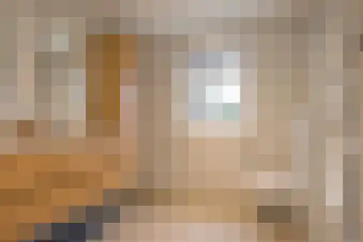 Stationsweg 10 Oosterbeek thumbnail 33