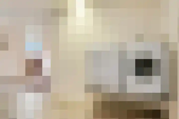 Stationsweg 10 Oosterbeek thumbnail 39