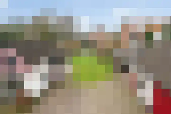 Stationsweg 10 Oosterbeek thumbnail 67