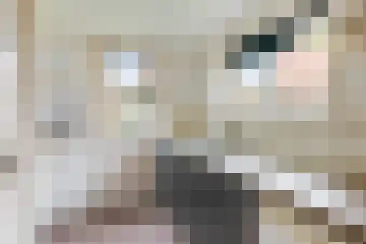 Stationsweg 10 Oosterbeek thumbnail 86